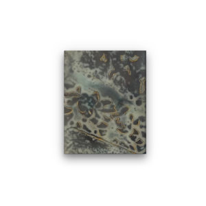 Untitled V - Photo Encaustic Oil Painting by Heather Davis